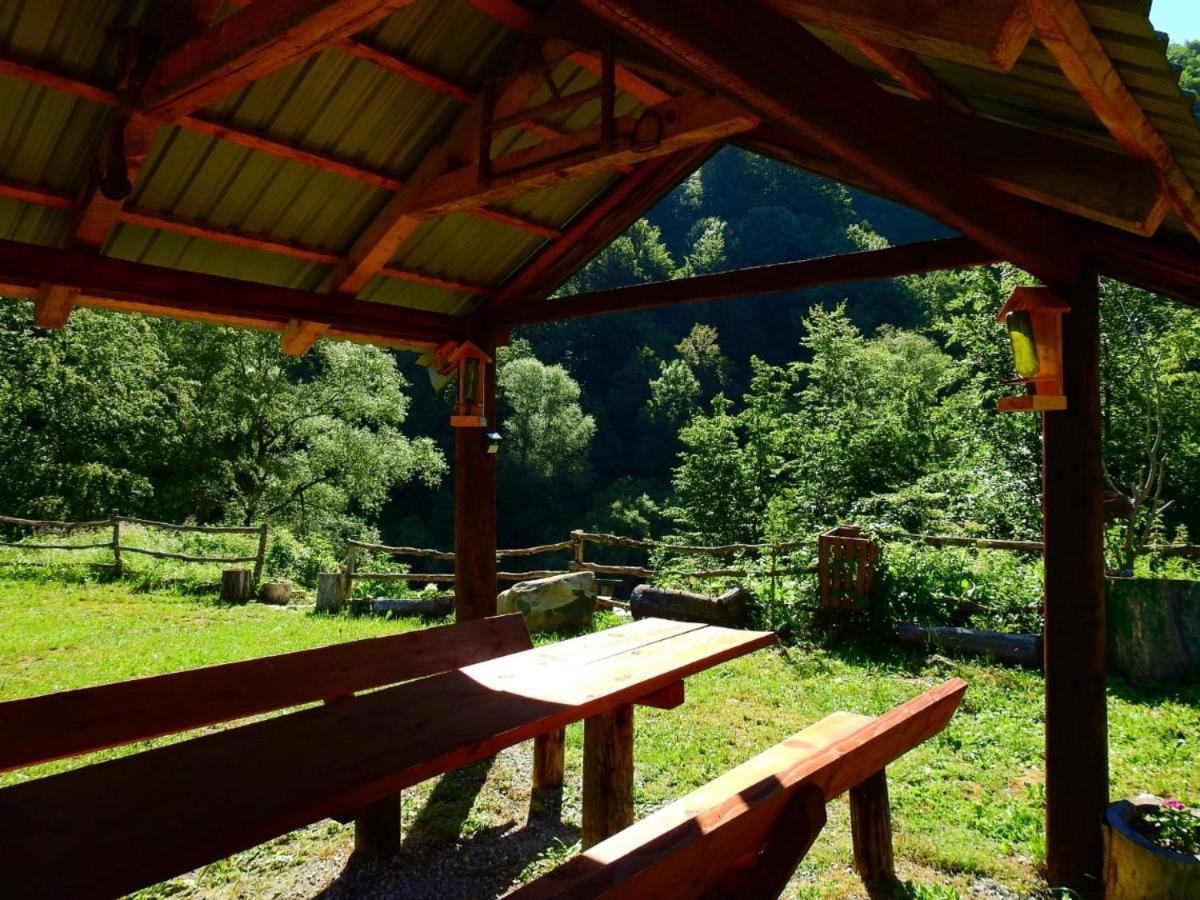 Private Accommodation Kalezic Mojkovac Eksteriør bilde
